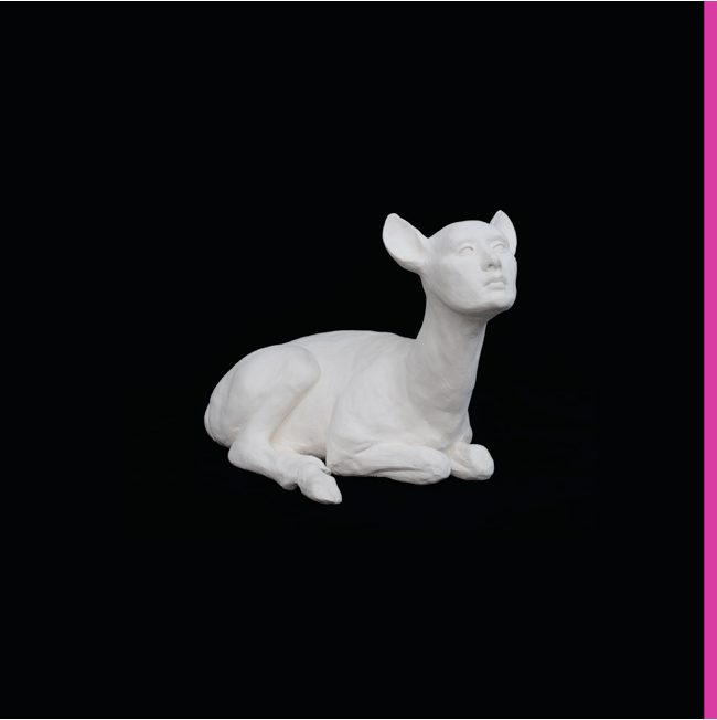 Collections Of Colonies Share First Single From New Album