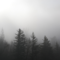 Richmond Fontaine Announce New Single & Album 