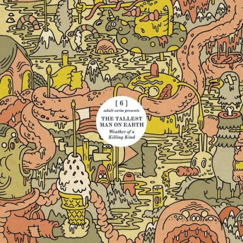 New from The Tallest Man On Earth 