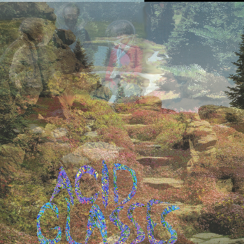 More From Acid Glasses. 