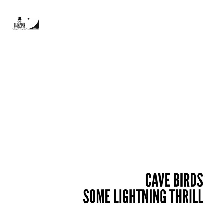 MM Shorts 17: The Cave Birds. 