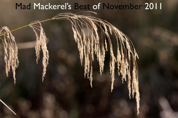 Mad Mackerel's Best Of The Month: November 2011. 