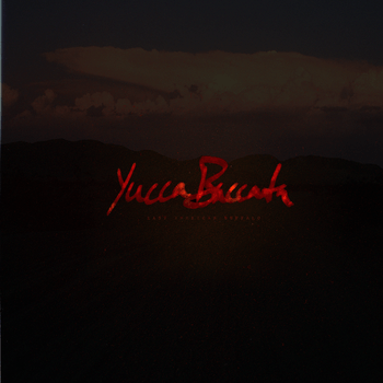 New From Last American Buffalo. 