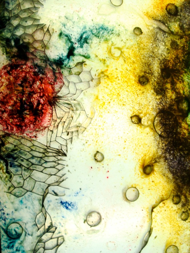 New Owsley Brothers Single. 