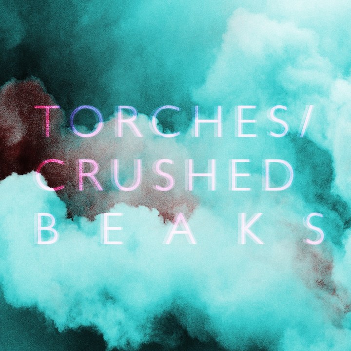 Crushed Beaks / Torches Split Single. 
