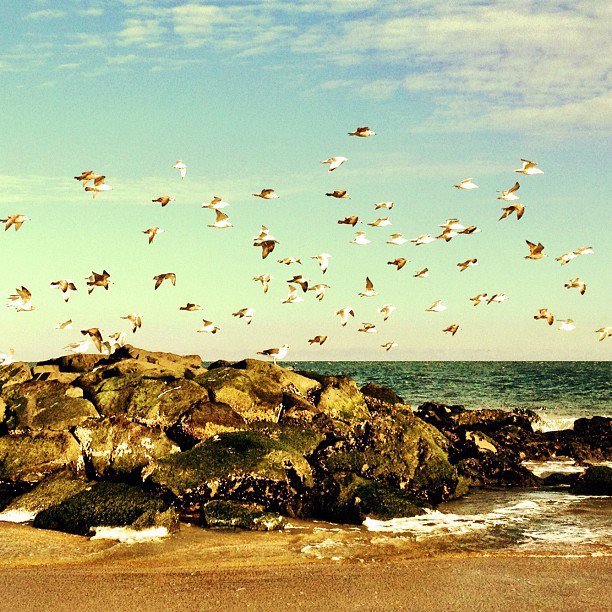 New Single From Town Hall. 