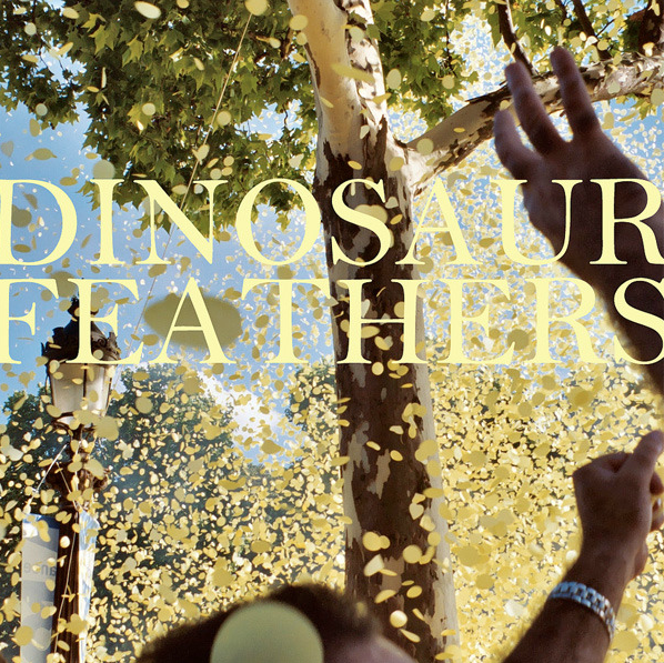 New Track From Dinosaur Feathers. 