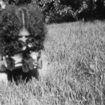 Mad Mackerel Recommends...Is/Is. 