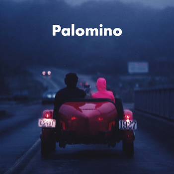 Introducing...Palomino. 