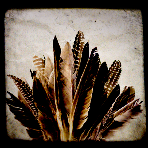 The Return Of Brother Dege. 