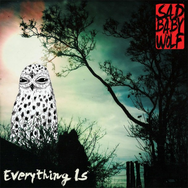 Sad Baby Wolf Cover Neutral Milk Hotel. 