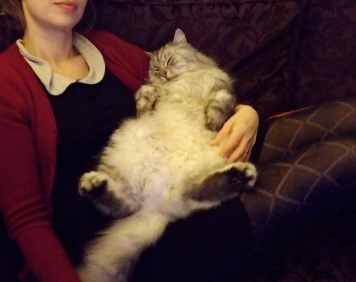 Mrs Mackerel's TFI Friday (25th May). 