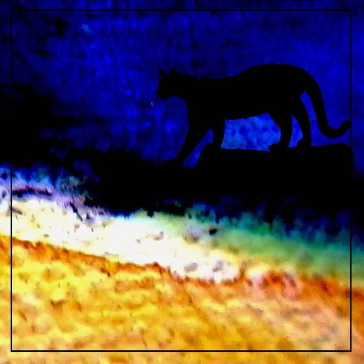 MM Shorts 159: The Owsley Brothers Cover Mellancamp. 