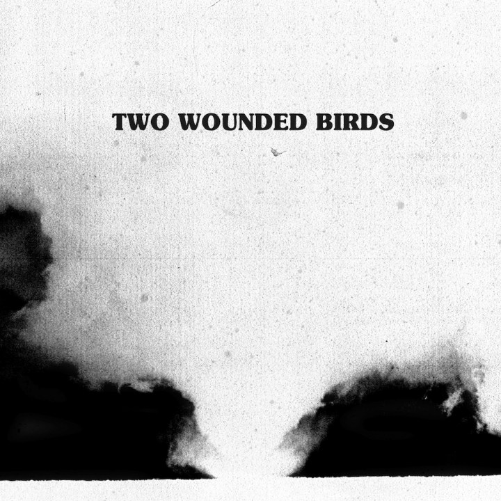 New Single And Free Download From Two Wounded Birds. 