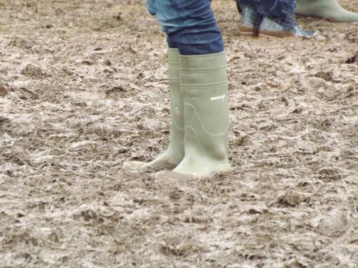 No Direction Home Festival: A Review. 