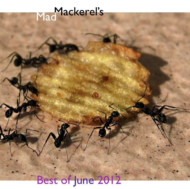 Mad Mackerel's Free Mix - Best of June 2012. 
