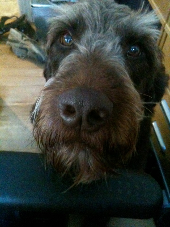 Mrs Mackerel's TFI Friday (13th July). 