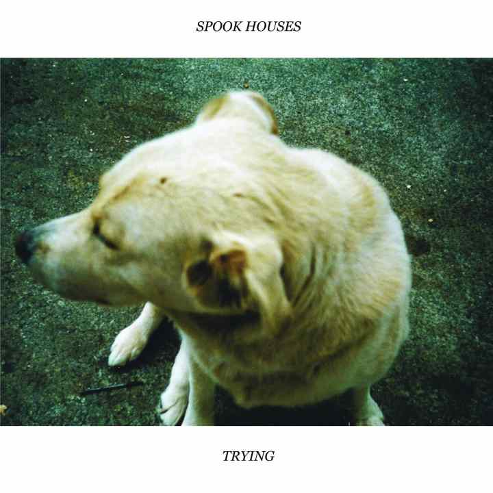 Spook Houses Release Trying. 