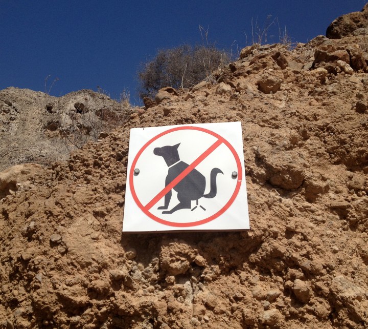 Mrs Mackerel's TFI Friday (31st August). 