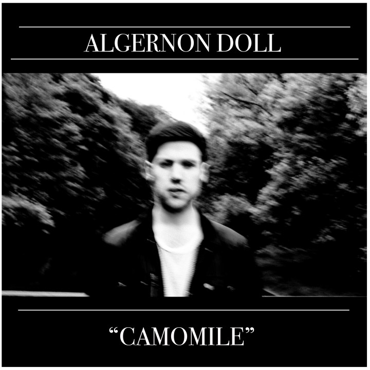 algernon doll Introducing >>> Algernon Doll.