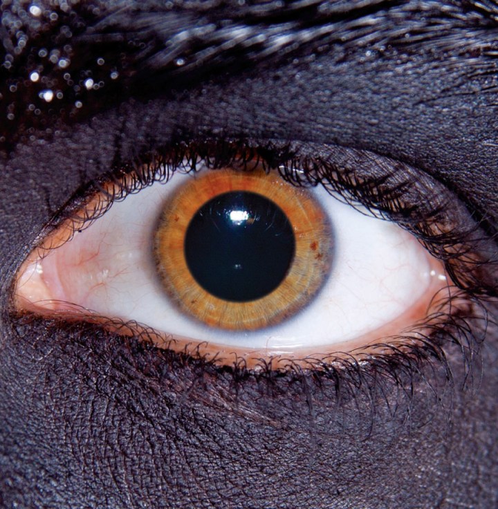 Introducing...The Growl. 