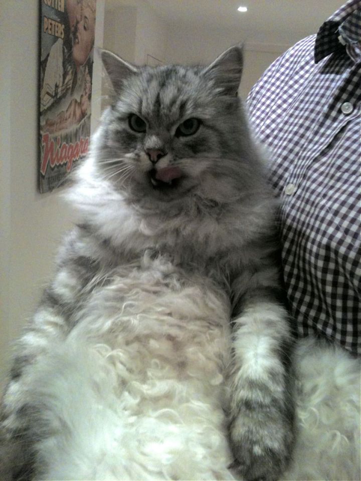 Mrs Mackerel's TFI Friday (9th November). 