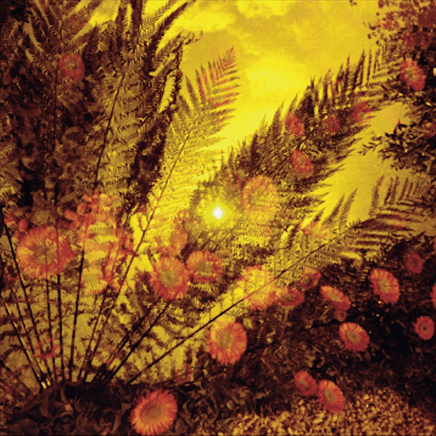 Introducing >>> Split Screens. 