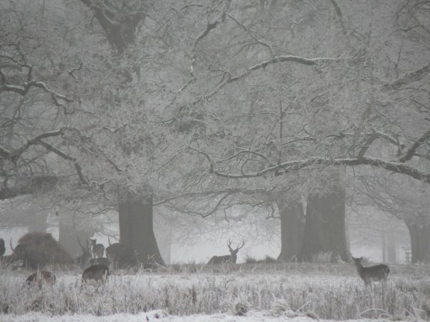 Mrs Mackerel's TFI Friday (14th December). Photo credit Alasdair Ross