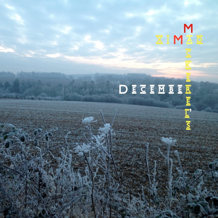 Mad Mackerel's Best Of December 2012 Free Mix