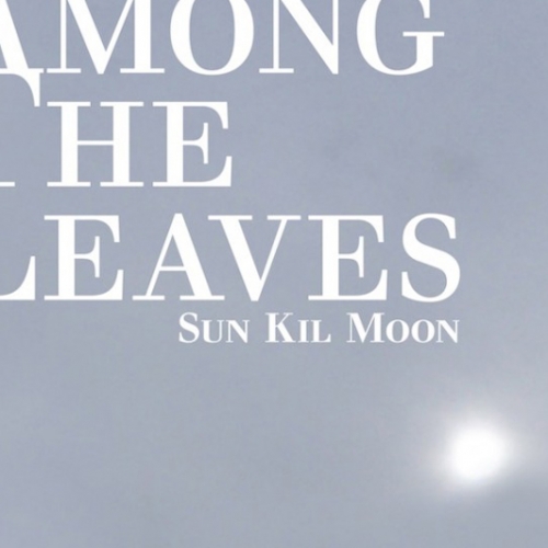 Sun Kil Moon - Among The Leaves