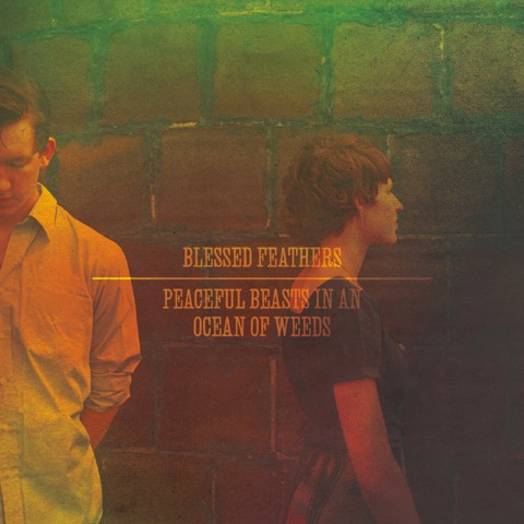 Blessed Feathers New Song & Tour