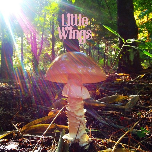 New Album From Little Wings