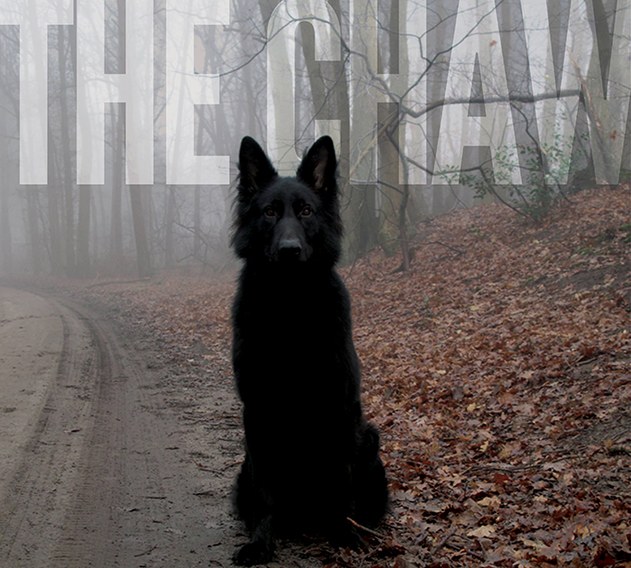 Introducing >>> The Chaw