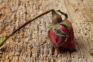 MM's Anti Valentine Mix