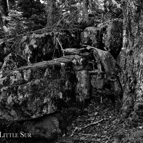 Little Sur on Mad Mackerel