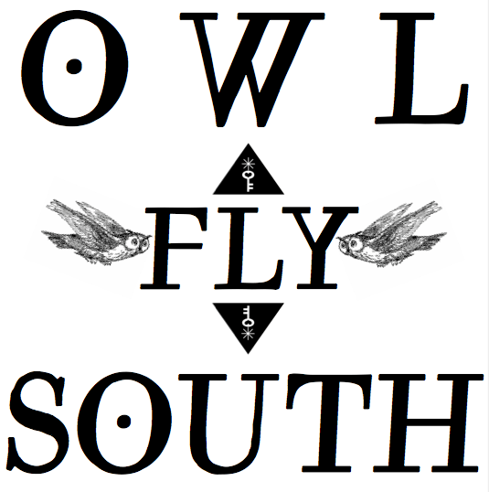 MM Shorts 341: Owl Fly South