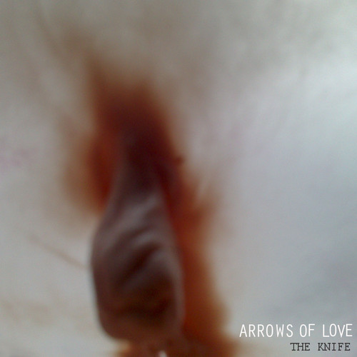 New Single From Arrows Of Love