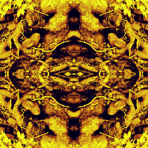 Neal Casal Covers The Grateful Dead for Record Store Day