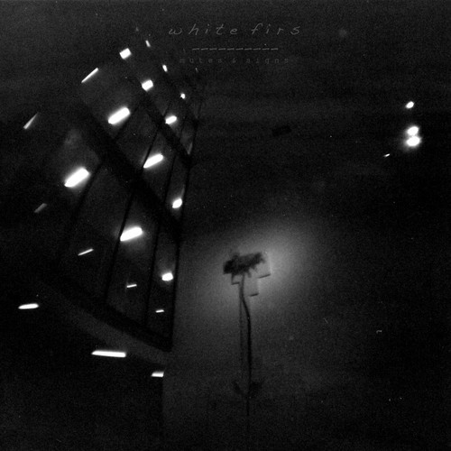 MM Shorts 363: White Firs