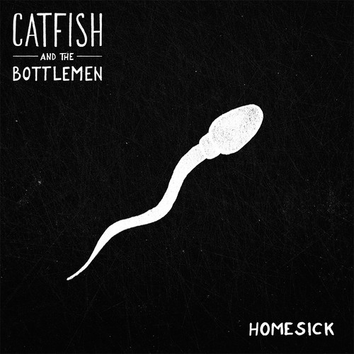 Introducing >>> Catfish And The Bottlemen