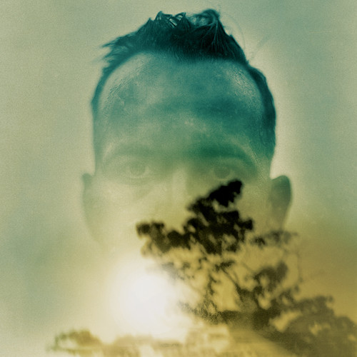 Duquette Johnston Offers Up Cherry Blossom