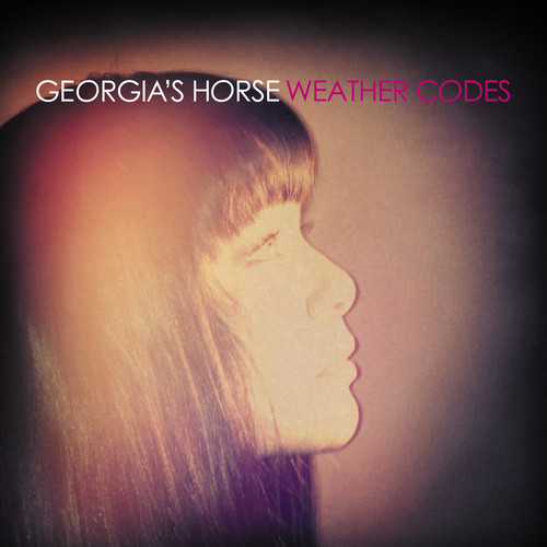Georgia's Horse Release Weather Codes