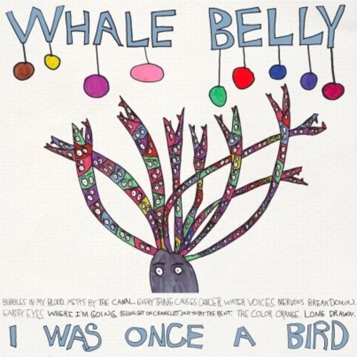 Introducing >>> Whale Belly