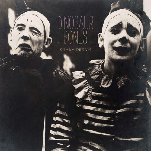 Dinosaur Bones - Sleepsick