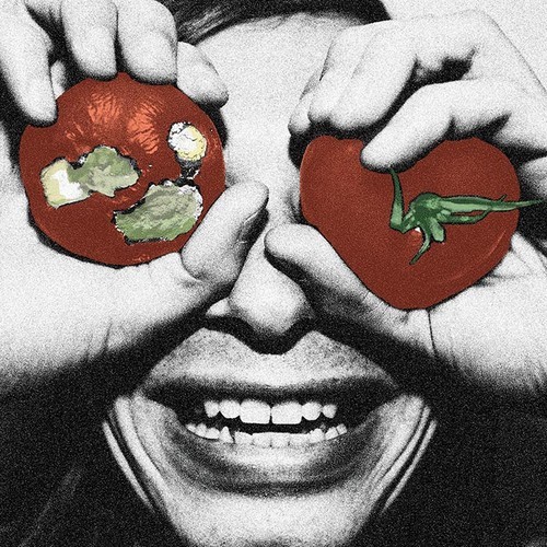 New Album From Terry Malts