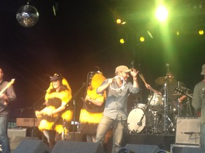 The Bees at Wilderness