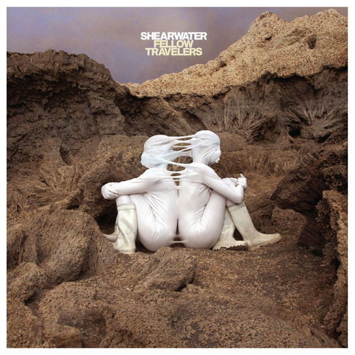 Shearwater's Fellow Travelers