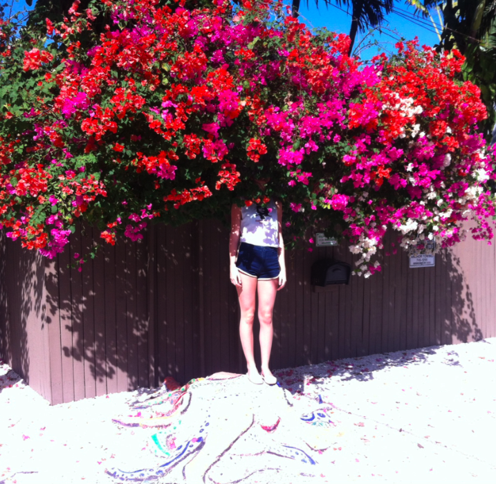 Elf Power Release New Album