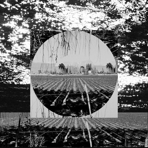 More From Steady Sun