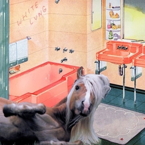 MM Shorts 463: White Lung